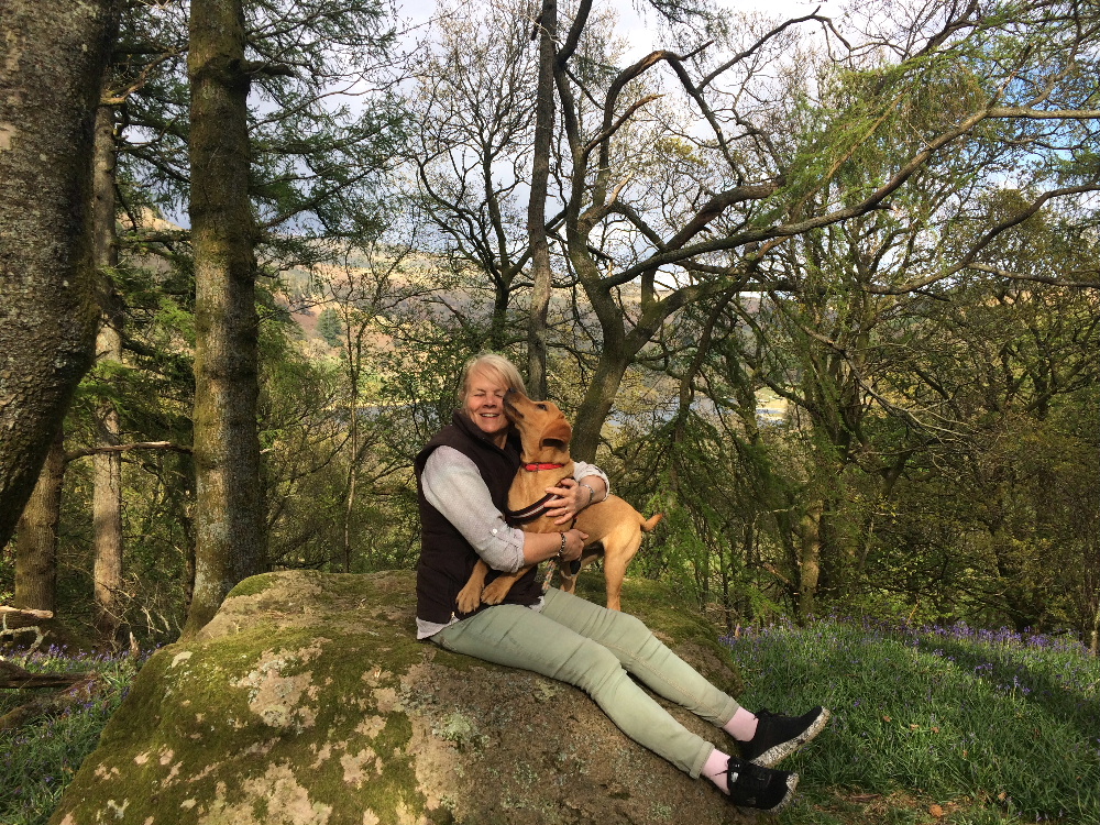 Bluebells and Pride